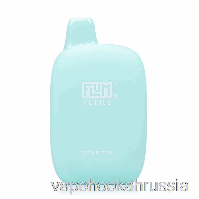 Vape Juice Flum Pebble 6000 одноразовый с мятой